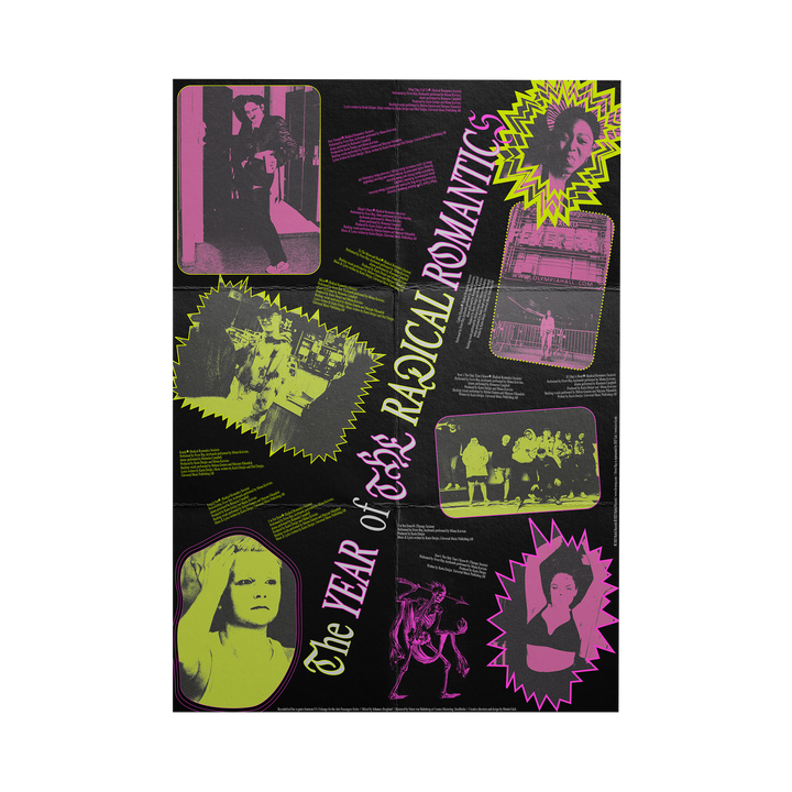 The Year Of The Radical Romantics LP