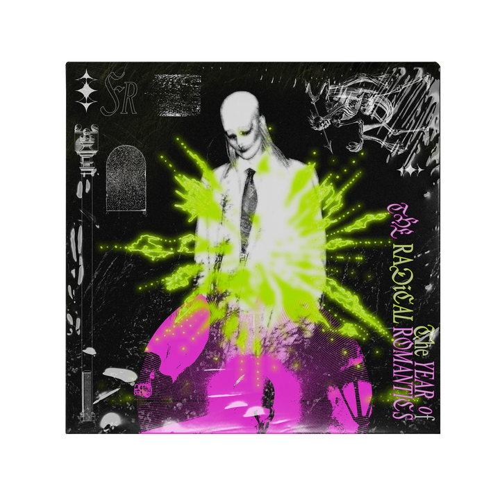 The Year Of The Radical Romantics LP